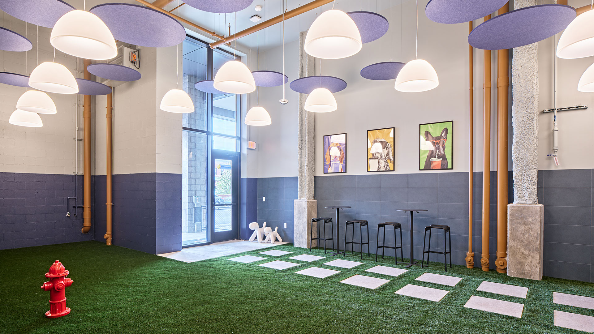 Premium Pet Amenities
